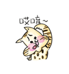 ベンガル猫のぬこまるさん。中国語ラブ編（個別スタンプ：7）