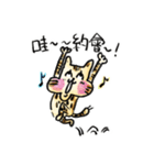 ベンガル猫のぬこまるさん。中国語ラブ編（個別スタンプ：12）
