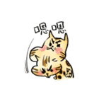 ベンガル猫のぬこまるさん。中国語ラブ編（個別スタンプ：19）