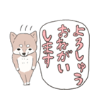 まいにち柴犬ばい！(長崎弁)（個別スタンプ：20）