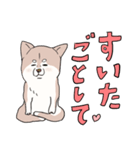 まいにち柴犬ばい！(長崎弁)（個別スタンプ：30）