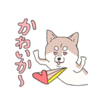 まいにち柴犬ばい！(長崎弁)（個別スタンプ：31）