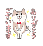 まいにち柴犬(文字大きめ)（個別スタンプ：7）