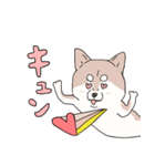 まいにち柴犬(文字大きめ)（個別スタンプ：10）