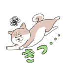 まいにち柴犬(文字大きめ)（個別スタンプ：16）