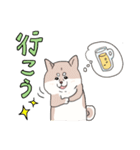 まいにち柴犬(文字大きめ)（個別スタンプ：19）