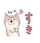 まいにち柴犬(文字大きめ)（個別スタンプ：23）