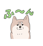 まいにち柴犬(文字大きめ)（個別スタンプ：34）