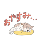 まいにち柴犬(文字大きめ)（個別スタンプ：40）