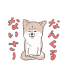 まいにち柴犬さぁ！(沖縄)（個別スタンプ：34）