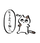 ねこ、ときどきブタ（個別スタンプ：13）