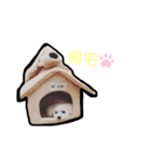 たださん家のあらしくん（個別スタンプ：3）