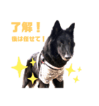 黒犬さんシリーズ。4（個別スタンプ：5）