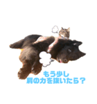 黒犬さんシリーズ。4（個別スタンプ：8）