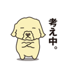 毒舌小姑トイプードル in 京都 1（個別スタンプ：10）