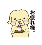 毒舌小姑トイプードル in 京都 1（個別スタンプ：16）