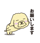 毒舌小姑トイプードル in 京都 1（個別スタンプ：37）