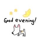 神戸犬(ワイヤーフォックステリア)MAX40（個別スタンプ：9）