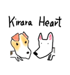 神戸犬(ワイヤーフォックステリア)MAX40（個別スタンプ：37）