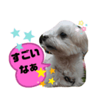 ちわまるひなむぎだよ！（個別スタンプ：2）