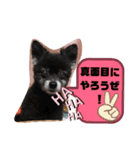 ちわまるひなむぎだよ！（個別スタンプ：5）