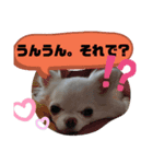 ちわまるひなむぎだよ！（個別スタンプ：7）
