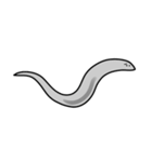 線虫（C. elegans）のスタンプ（個別スタンプ：22）
