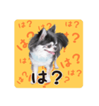 ラブリーうどん（個別スタンプ：7）