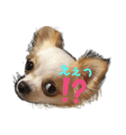 はなことたろ（個別スタンプ：2）