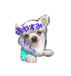 はなことたろ（個別スタンプ：3）