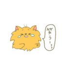ポメラニアンにLOVE。その1。（個別スタンプ：1）