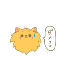 ポメラニアンにLOVE。その1。（個別スタンプ：3）