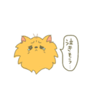 ポメラニアンにLOVE。その1。（個別スタンプ：4）