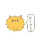 ポメラニアンにLOVE。その1。（個別スタンプ：11）