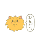 ポメラニアンにLOVE。その1。（個別スタンプ：12）