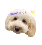 そらすたんぷ2（個別スタンプ：1）