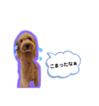 そらすたんぷ2（個別スタンプ：3）