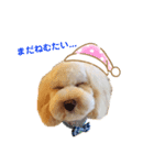 そらすたんぷ2（個別スタンプ：5）