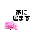 六条 花1（個別スタンプ：1）