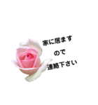 六条 花1（個別スタンプ：7）