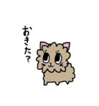 ふくろう ねこ（個別スタンプ：17）