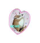ちゃちゃ☆しら（個別スタンプ：6）