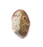 ちゃちゃ☆しら（個別スタンプ：8）