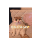 おぼっちゃんのぼっちゃんスタンプ（個別スタンプ：6）