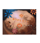 おぼっちゃんのぼっちゃんスタンプ（個別スタンプ：7）
