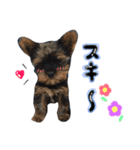 もずくくん 3（個別スタンプ：3）