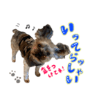 もずくくん 3（個別スタンプ：6）