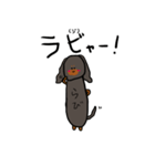 レオとラビ（個別スタンプ：16）