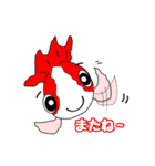 まん丸ころころ ピンポンパール きんぎょ（個別スタンプ：4）