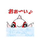 まん丸ころころ ピンポンパール きんぎょ（個別スタンプ：13）